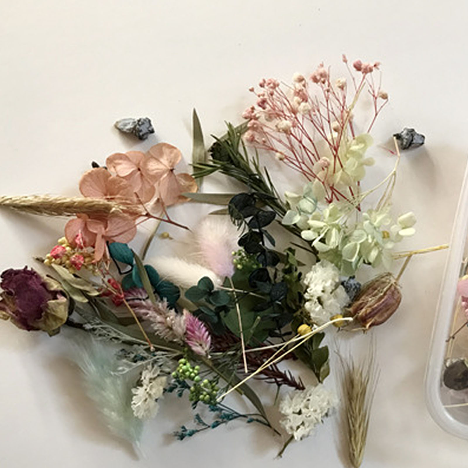 자연 말린 꽃 키트 누르면 삽화 공예 잎 허브 DIY  - Candle Making Diy Kit 리뷰 및 가격
